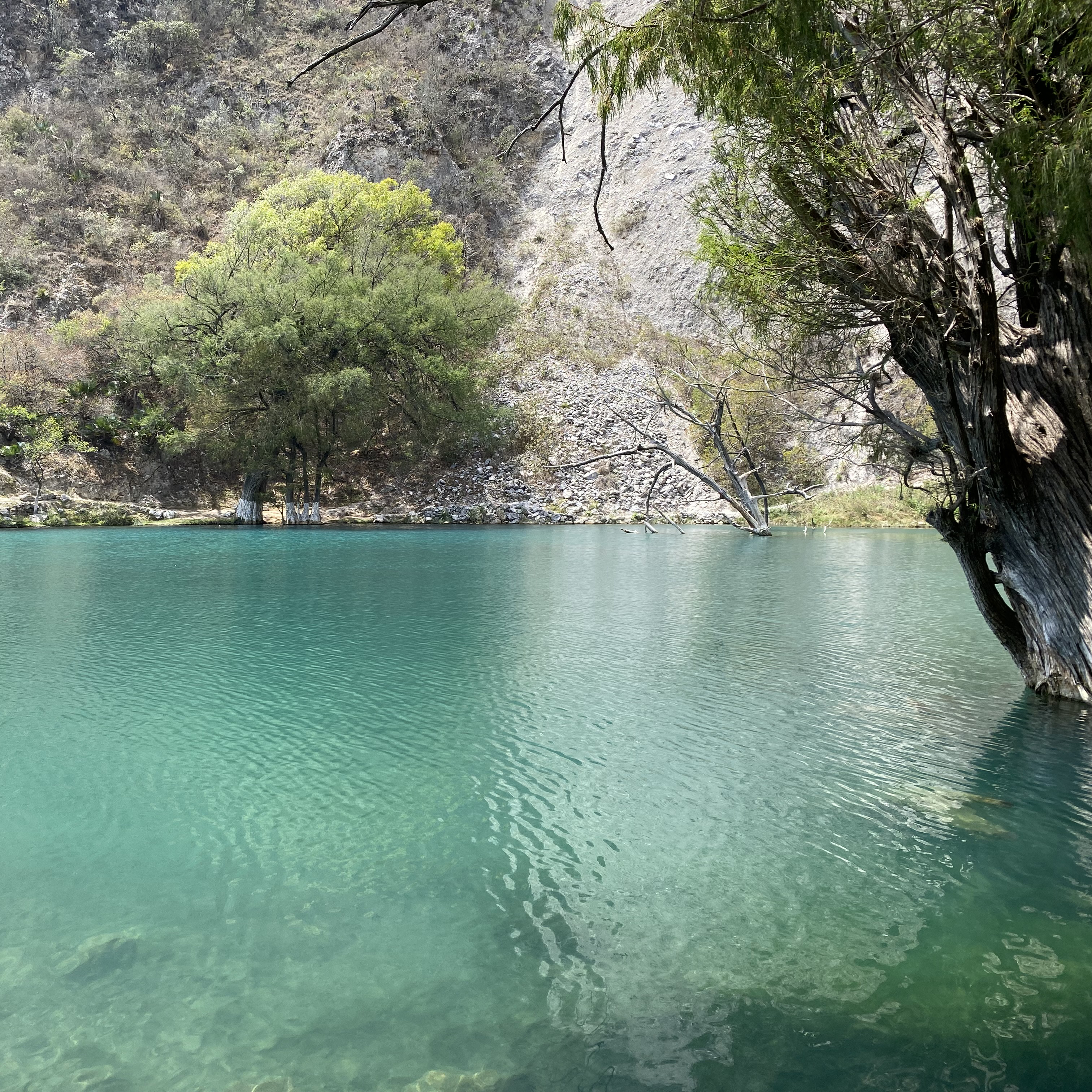 Laguna Encantada