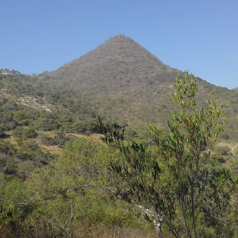 El Mogote